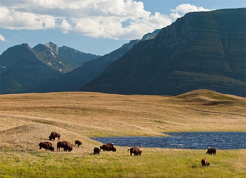 Национальный парк Уотертон-Лейкс